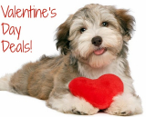 Best Valentine’s Day Gifts Ideas, Deals and Promotion